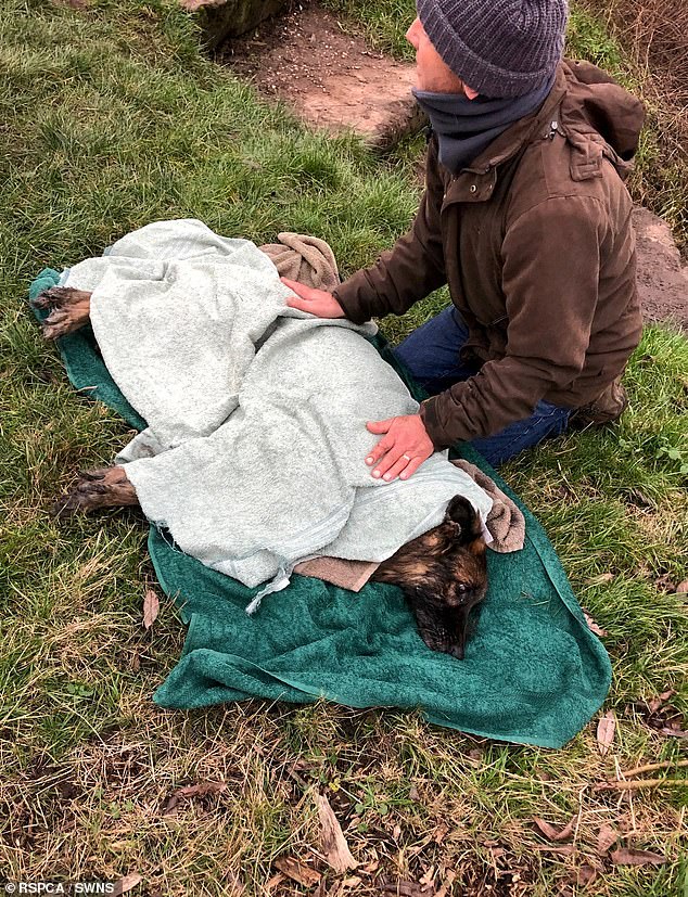 At the time of the incident, locals jumped in to help Bella, with one man placing several towels on top of her to warm her up