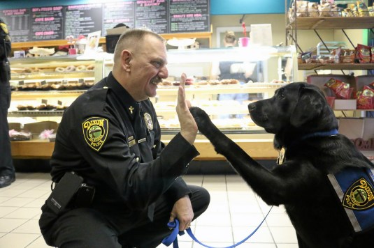 Dixon and Winters Police Chaplain Robert Duvall high-fives his partner Kepi. Duvall believes she is the first dog of her kind in the state working specifically on crisis intervention and compassion for law enforcement and first responders. Sally Schilling — The Reporter